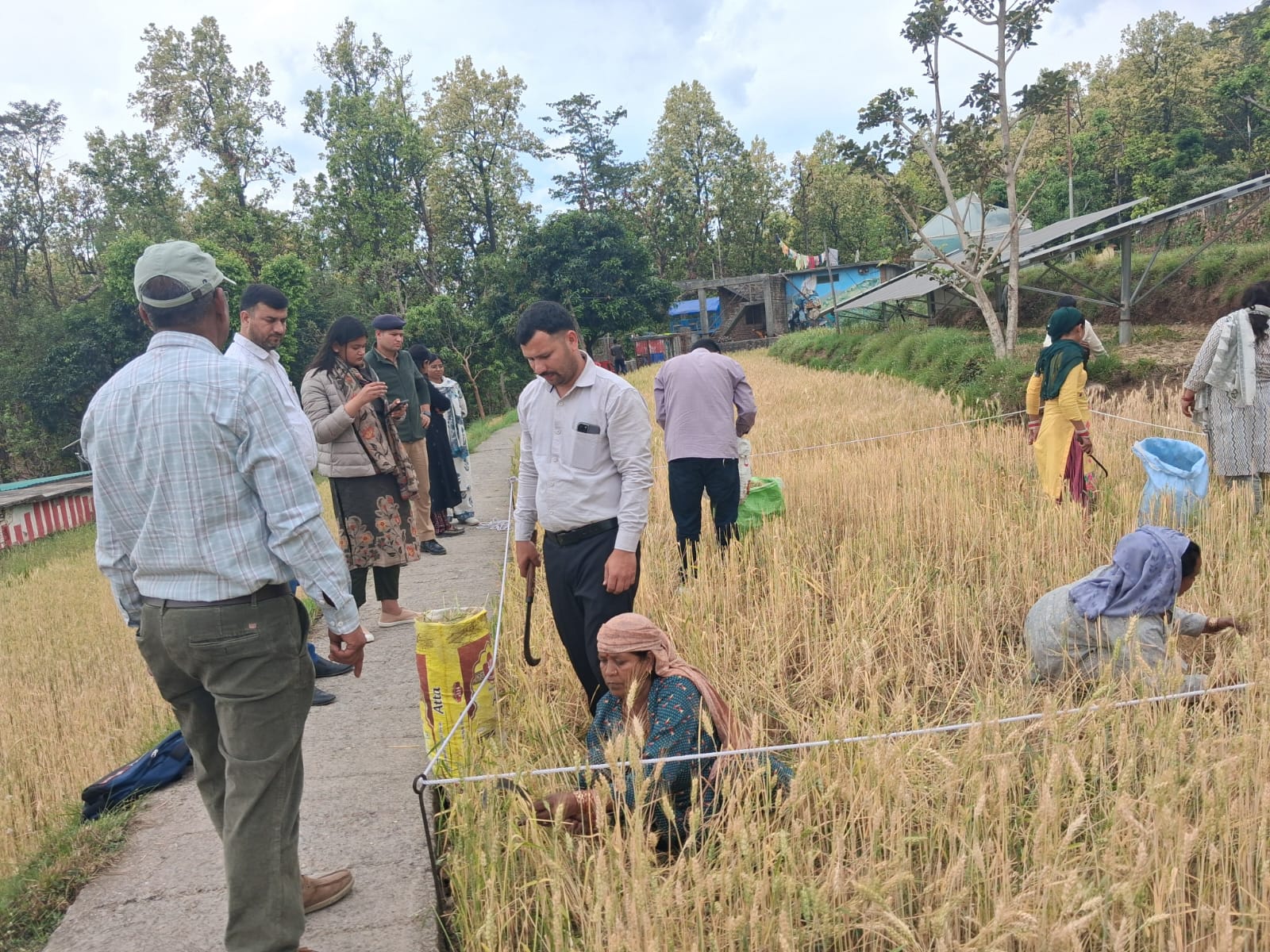 मुख्य कृषि अधिकारी विजय देवराड़ी को बड़ी जिम्मेदारी, सटीक पैदावार आंकलन के निर्देश जारी